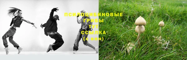 MESCALINE Дмитриев