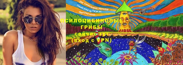 MESCALINE Дмитриев