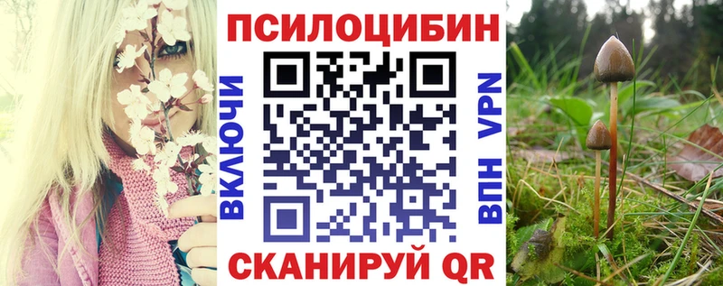 Псилоцибиновые грибы GOLDEN TEACHER  Купить закладки  Вуктыл 